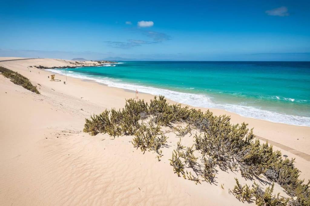 B-Rent Alisios Playa Isla Bonita Corralejo Exterior foto